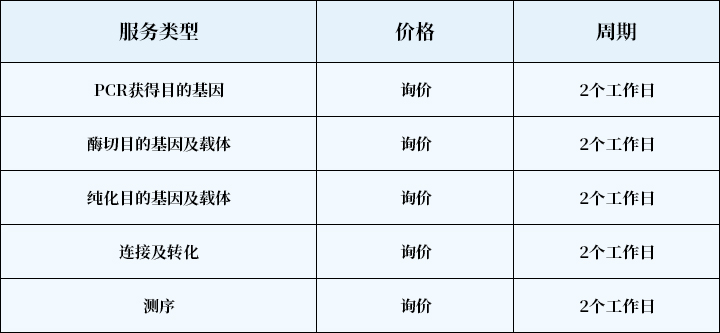 载体构件2.jpg